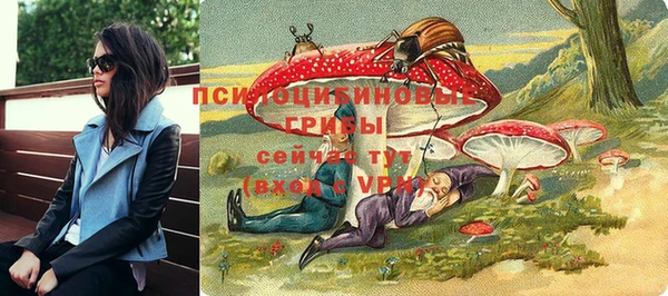 ALPHA PVP Гатчина