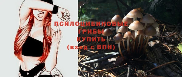 сатива Горнозаводск