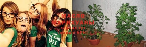 сатива Горнозаводск