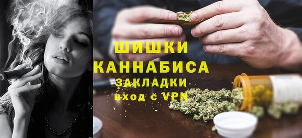 сатива Горнозаводск
