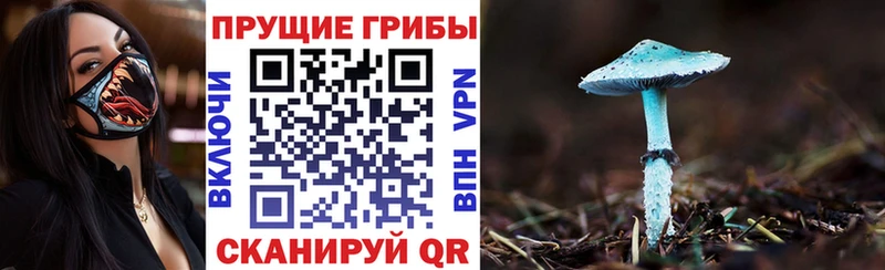 kraken зеркало  закладка  Губаха  Галлюциногенные грибы прущие грибы 