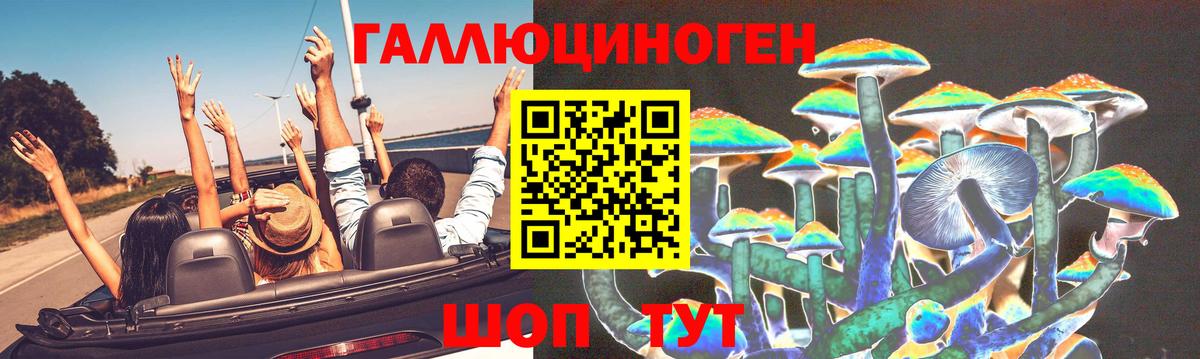 Псилоцибиновые грибы MAGIC MUSHROOMS  Вход с VPN  Псилоцибиновые грибы Psilocybine cubensis  Губаха 
